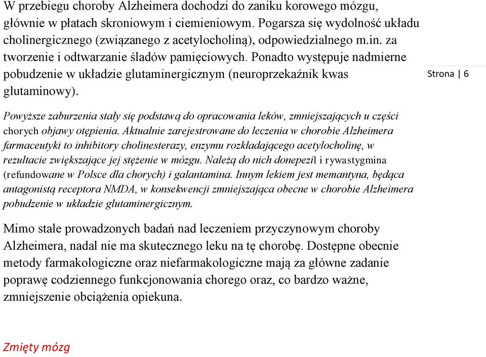 Ponadto występuje nadmierne pobudzenie w układzie glutaminergicznym (neuroprzekaźnik kwas glutaminowy).