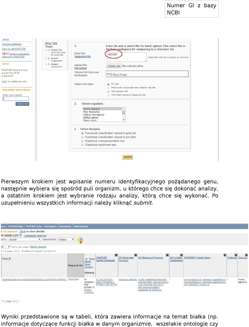 chce się wykonać. Po uzupełnieniu wszystkich informacji należy kliknąć submit.