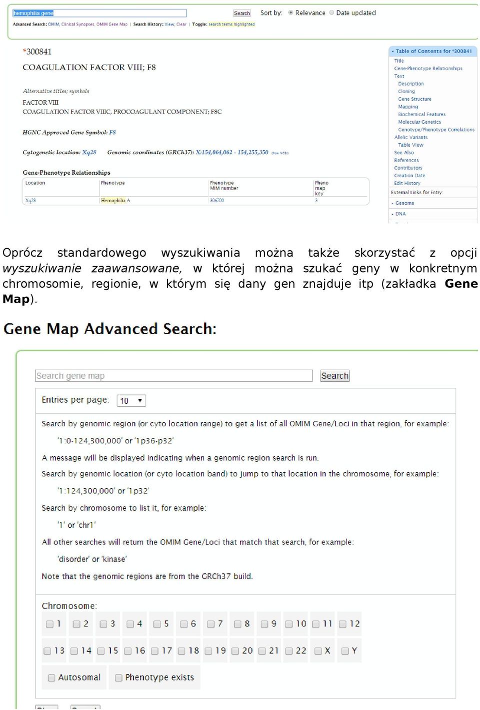 której można szukać geny w konkretnym chromosomie,