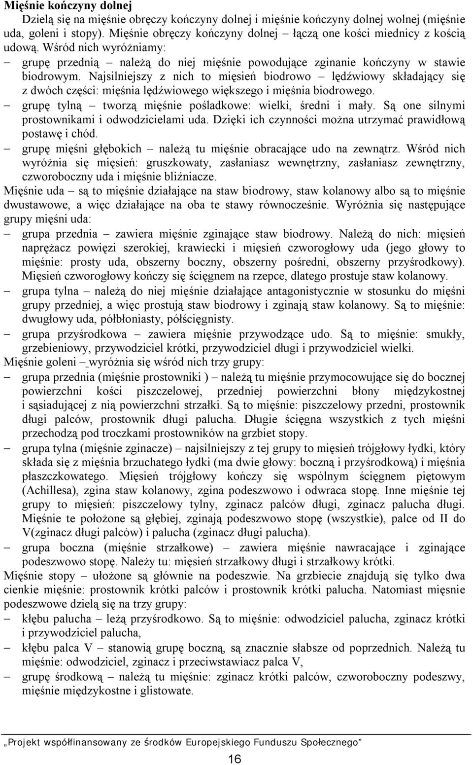 Najsilniejszy z nich to mięsień biodrowo lędźwiowy składający się z dwóch części: mięśnia lędźwiowego większego i mięśnia biodrowego. grupę tylną tworzą mięśnie pośladkowe: wielki, średni i mały.