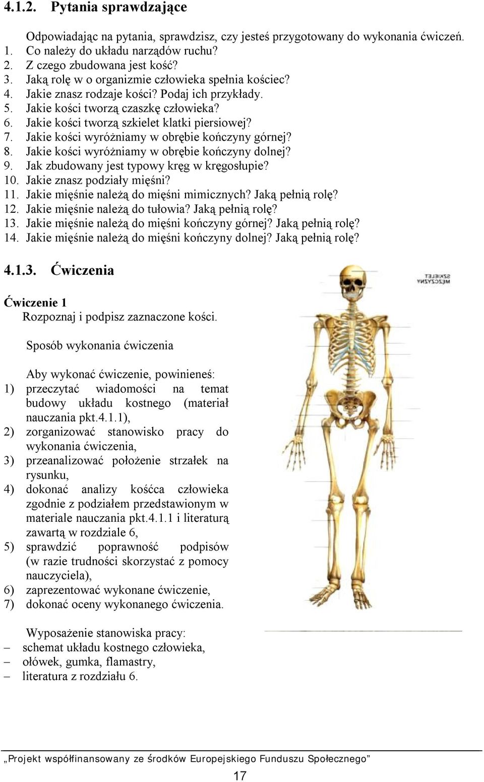 Jakie kości wyróżniamy w obrębie kończyny górnej? 8. Jakie kości wyróżniamy w obrębie kończyny dolnej? 9. Jak zbudowany jest typowy kręg w kręgosłupie? 10. Jakie znasz podziały mięśni? 11.