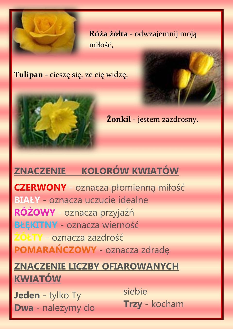 RÓŻOWY - oznacza przyjaźń BŁĘKITNY - oznacza wierność ŻÓŁTY - oznacza zazdrość POMARAŃCZOWY -