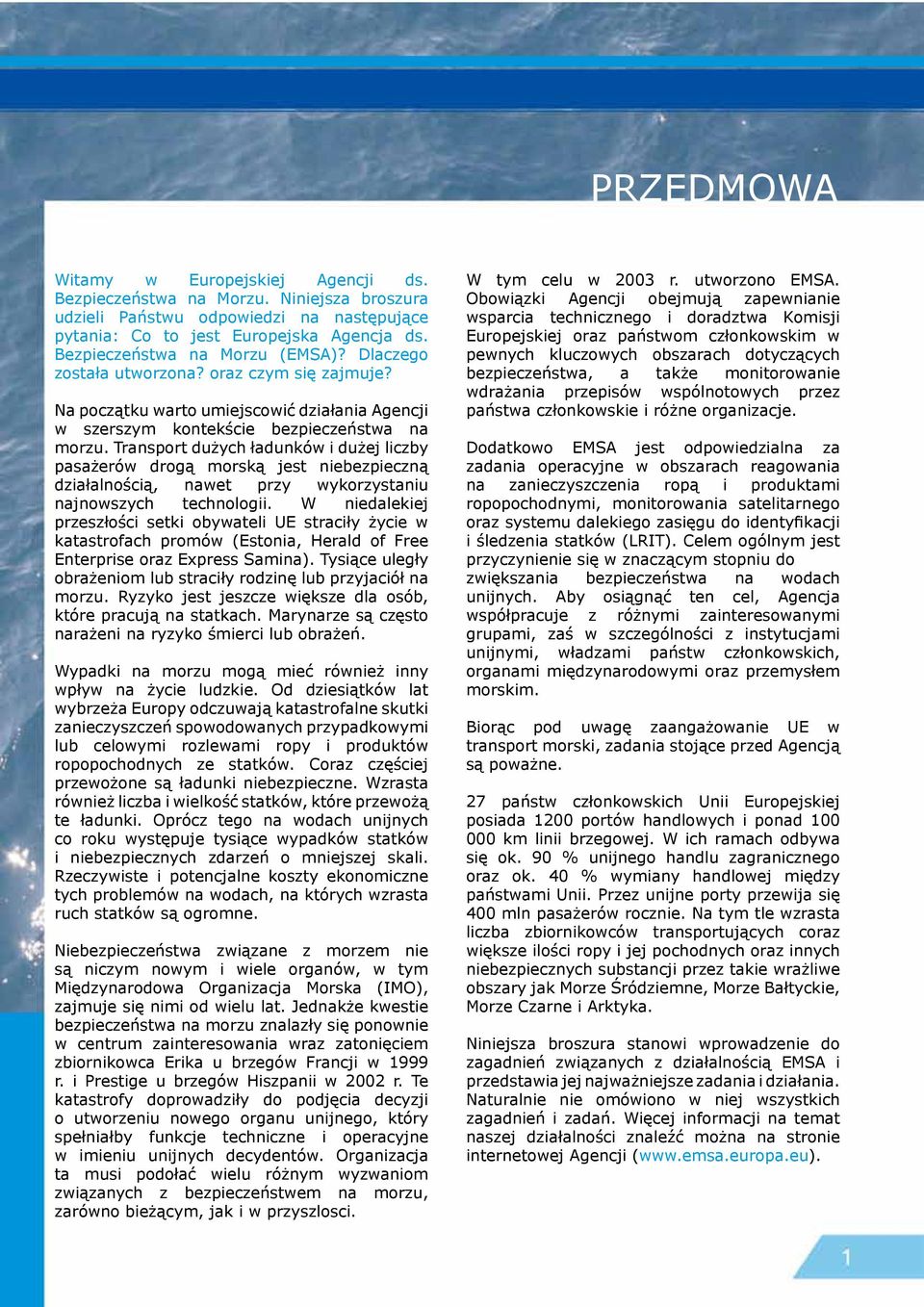 Transport dużych ładunków i dużej liczby pasażerów drogą morską jest niebezpieczną działalnością, nawet przy wykorzystaniu najnowszych technologii.