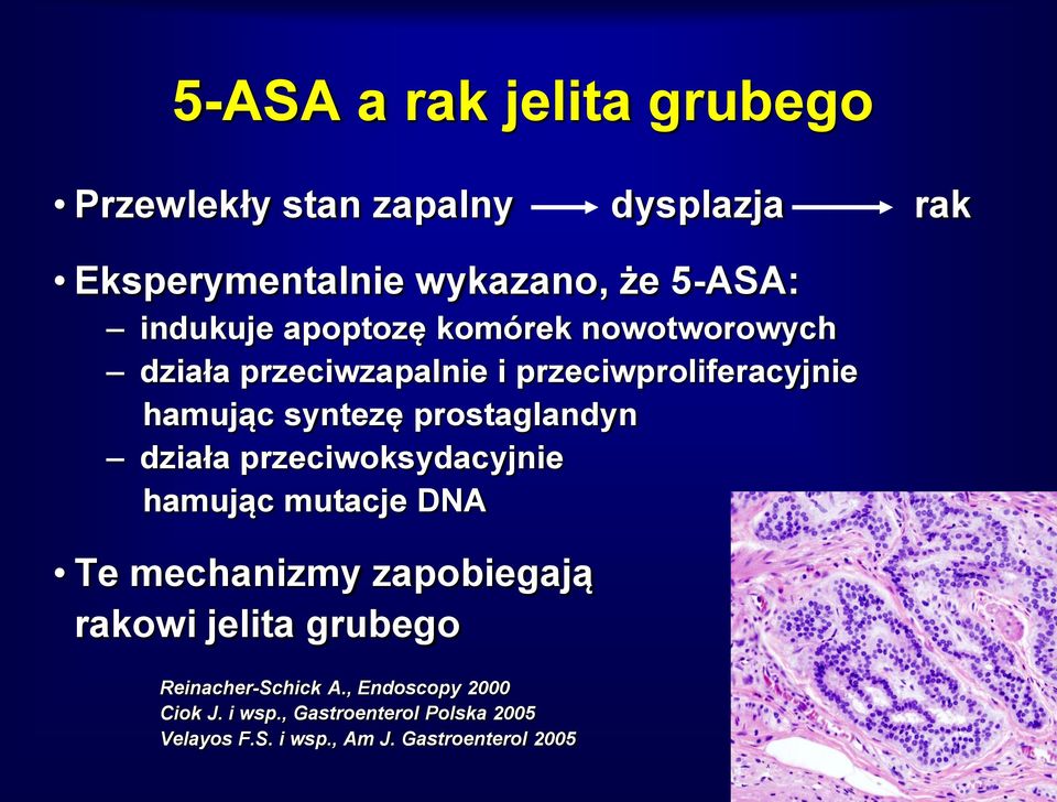 prostaglandyn działa przeciwoksydacyjnie hamując mutacje DNA Te mechanizmy zapobiegają rakowi jelita grubego