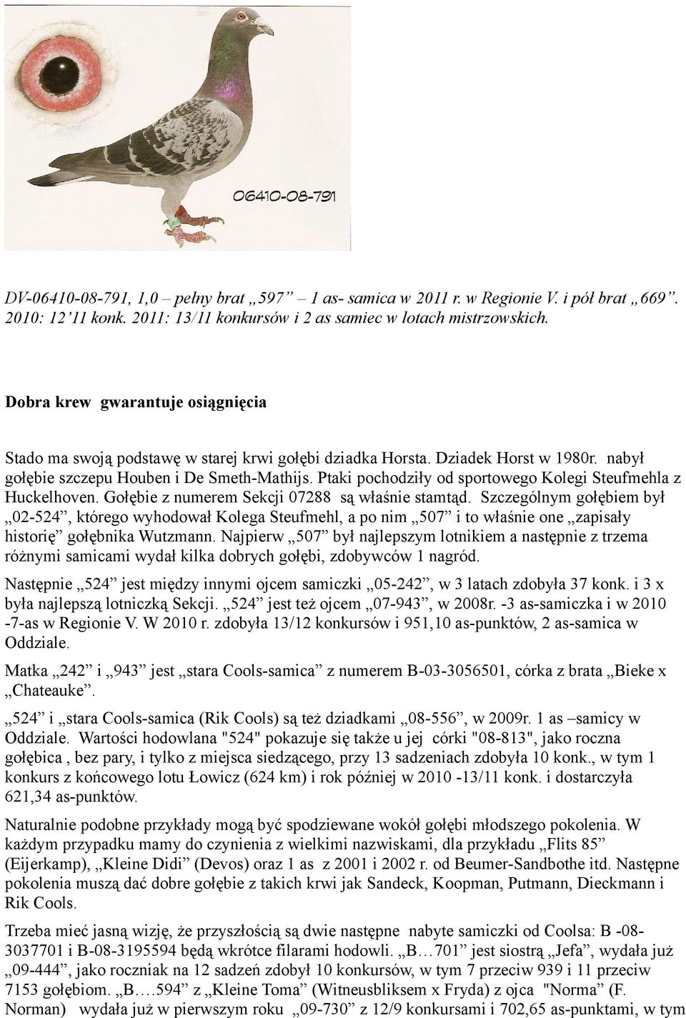Ptaki pochodziły od sportowego Kolegi Steufmehla z Huckelhoven. Gołębie z numerem Sekcji 07288 są właśnie stamtąd.