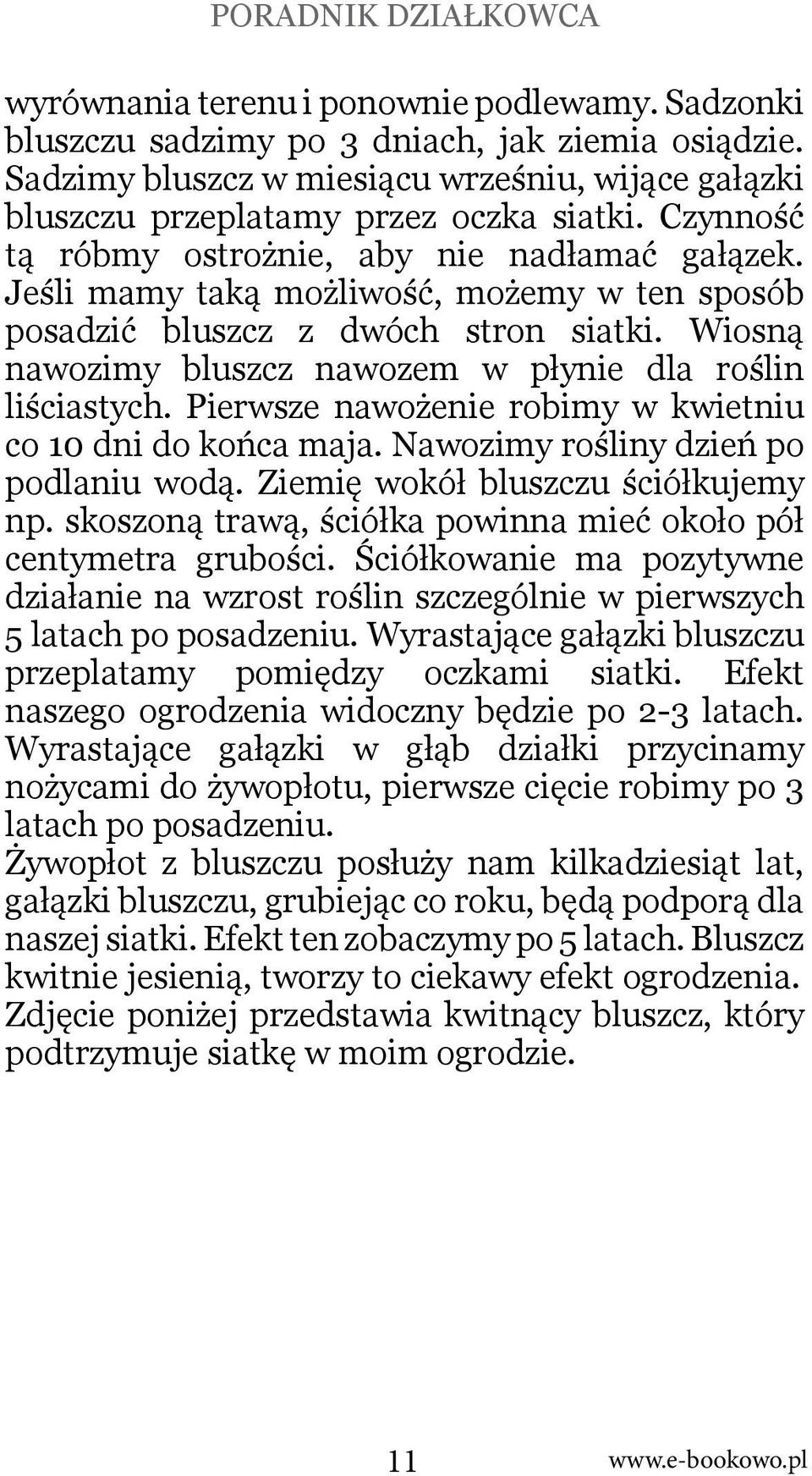 Wiosną nawozimy bluszcz nawozem w płynie dla roślin liściastych. Pierwsze nawożenie robimy w kwietniu co 10 dni do końca maja. Nawozimy rośliny dzień po podlaniu wodą.