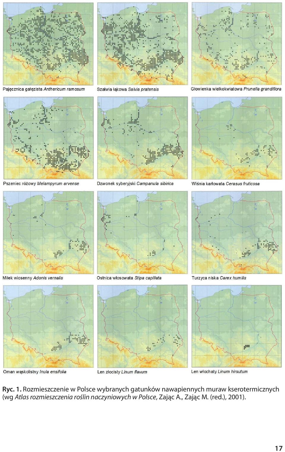 muraw kserotermicznych (wg Zając A., (wg Zając Atlas M.