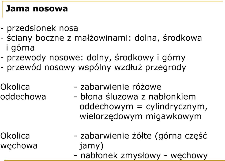 oddechowa Okolica węchowa - zabarwienie różowe - błona śluzowa z nabłonkiem oddechowym =