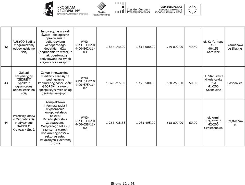 Spółki GEOREM na rynku specjalistycznych usług geoinŝynieryjnych.