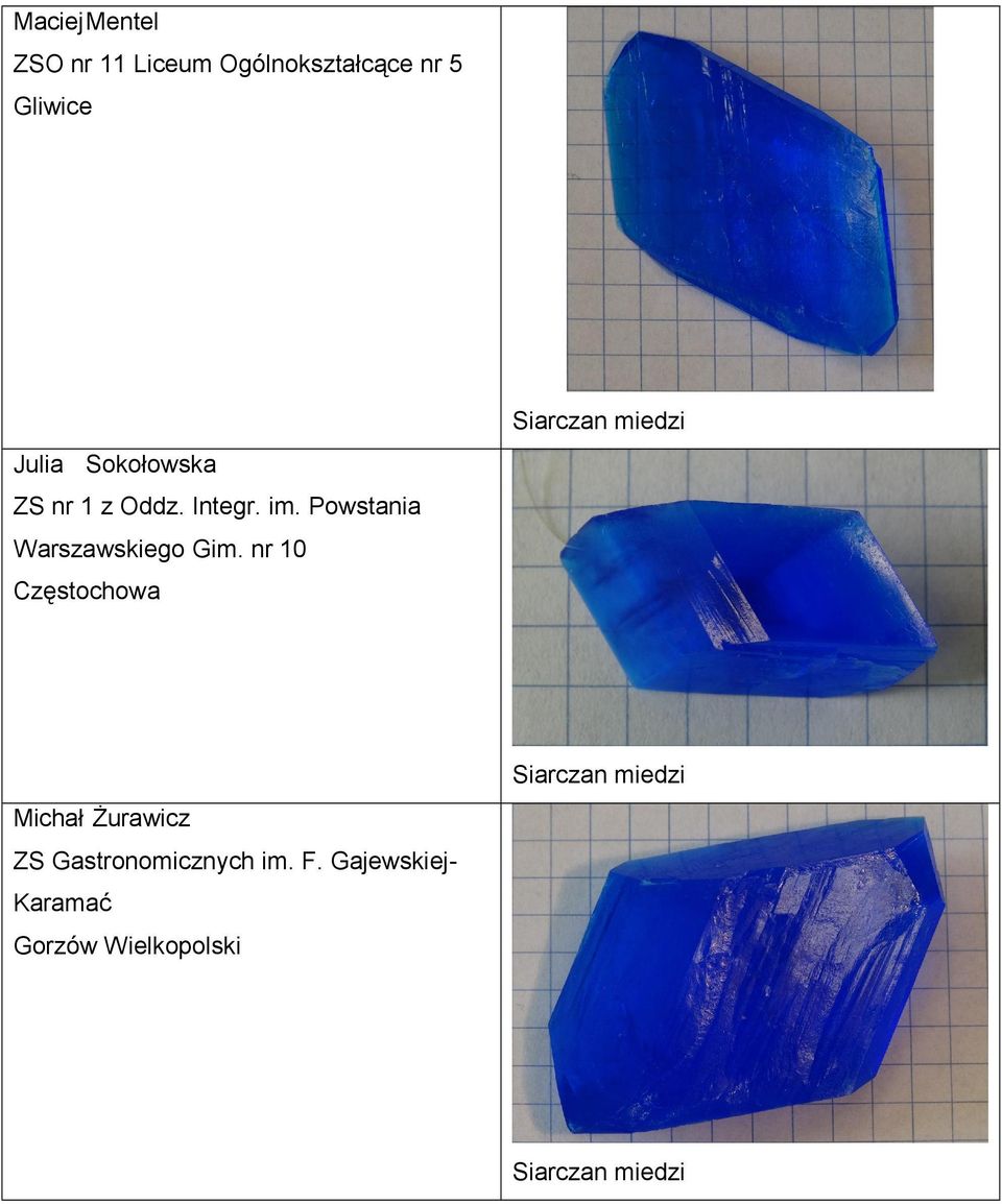 nr 10 Częstochowa Siarczan miedzi Michał śurawicz ZS Gastronomicznych