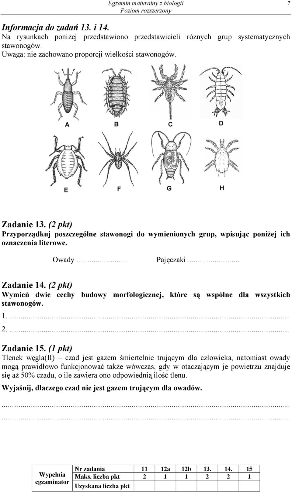 .. Zadanie 14. (2 pkt) Wymień dwie cechy budowy morfologicznej, które są wspólne dla wszystkich stawonogów. 1.... 2.... Zadanie 15.