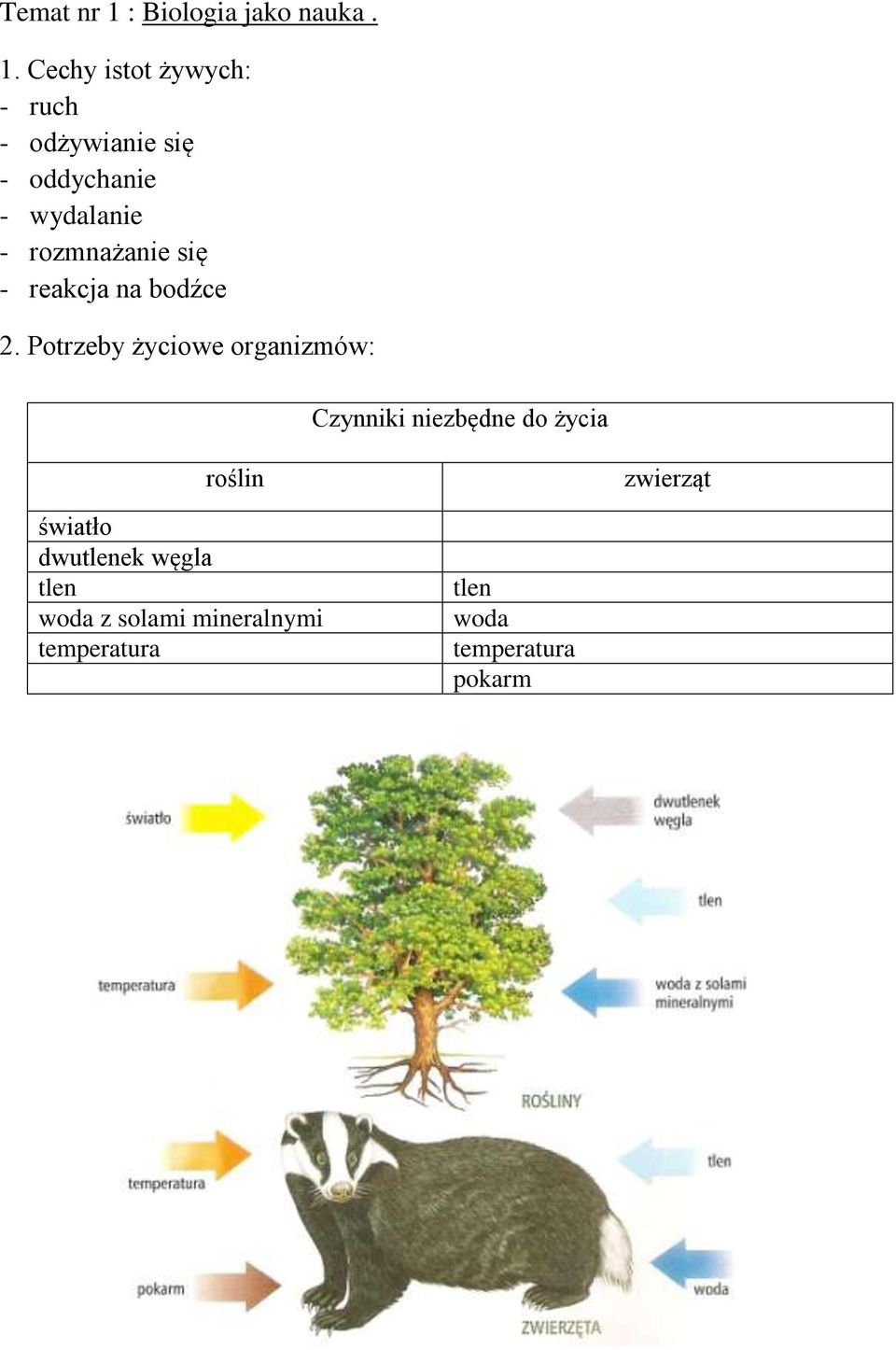 Cechy istot żywych: - ruch - odżywianie się - oddychanie - wydalanie -