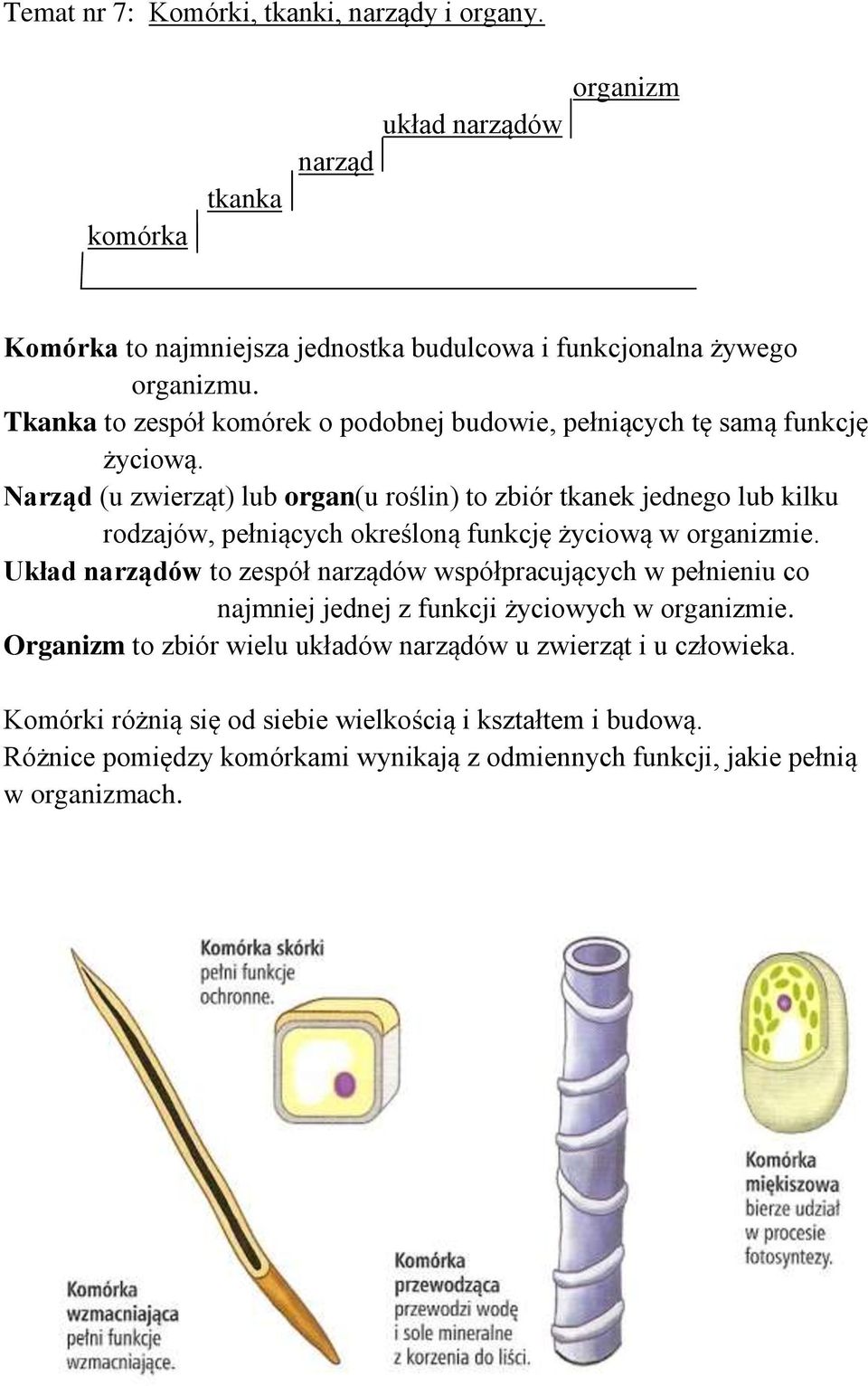 Narząd (u zwierząt) lub organ(u roślin) to zbiór tkanek jednego lub kilku rodzajów, pełniących określoną funkcję życiową w organizmie.