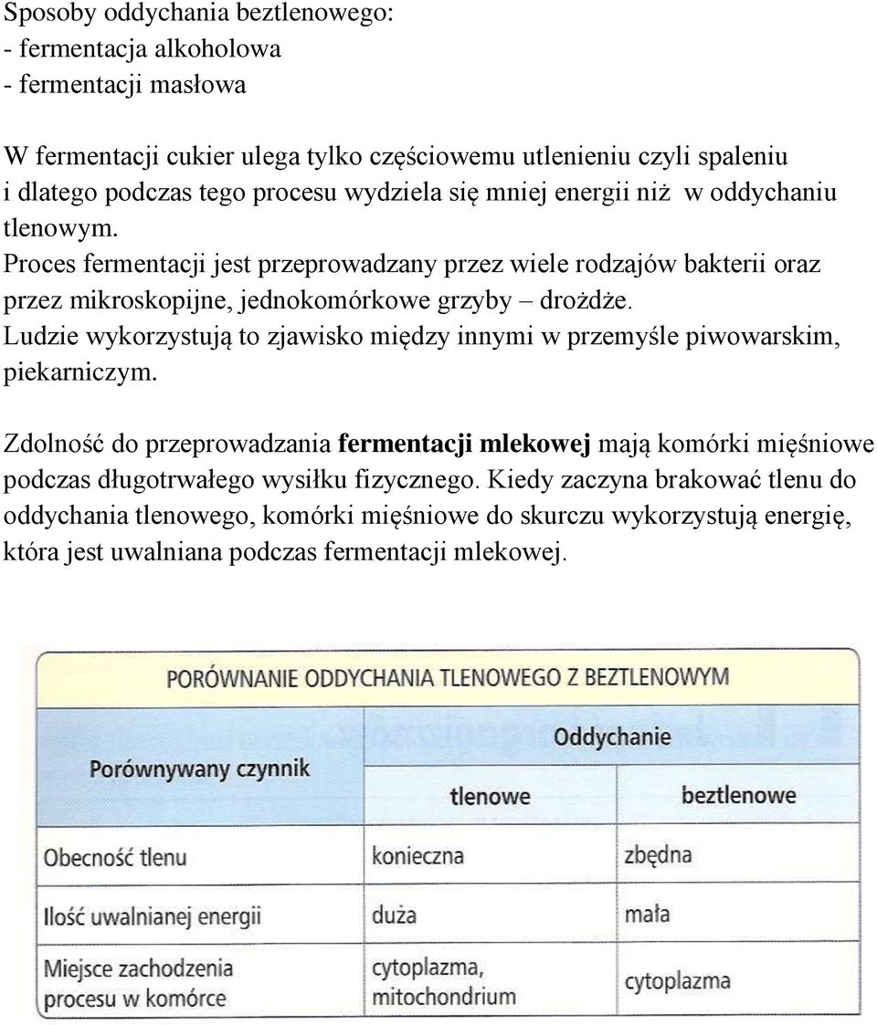 Proces fermentacji jest przeprowadzany przez wiele rodzajów bakterii oraz przez mikroskopijne, jednokomórkowe grzyby drożdże.