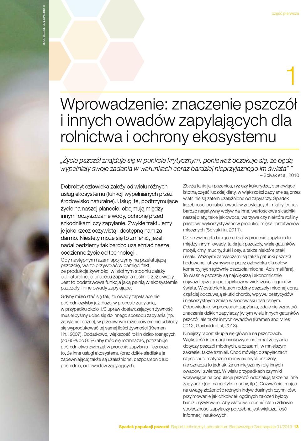 przez środowisko naturalne). Usługi te, podtrzymujące życie na naszej planecie, obejmują między innymi oczyszczanie wody, ochronę przed szkodnikami czy zapylanie.