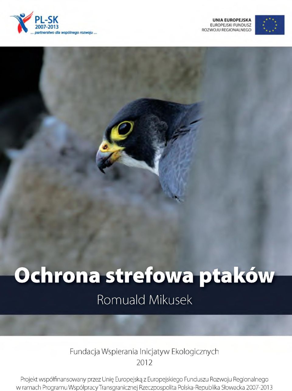 Europejską z Europejskiego Funduszu Rozwoju Regionalnego w ramach