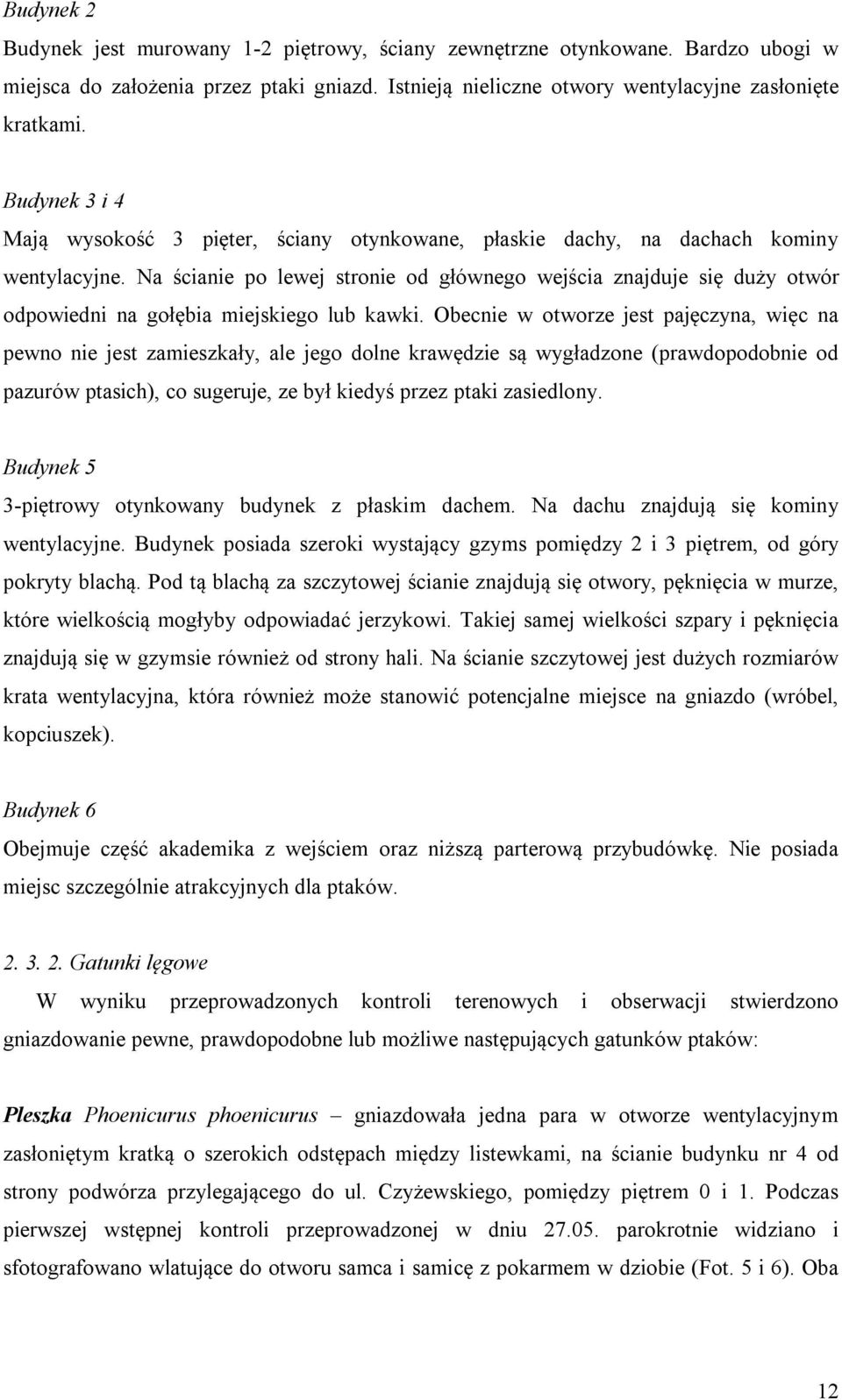 Na ścianie po lewej stronie od głównego wejścia znajduje się duży otwór odpowiedni na gołębia miejskiego lub kawki.