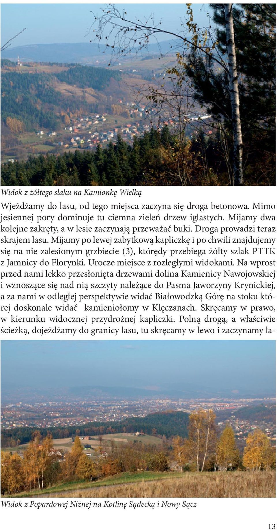 Mijamy po lewej zabytkową kapliczkę i po chwili znajdujemy się na nie zalesionym grzbiecie (3), którędy przebiega żółty szlak PTTK z Jamnicy do Florynki. Urocze miejsce z rozległymi widokami.