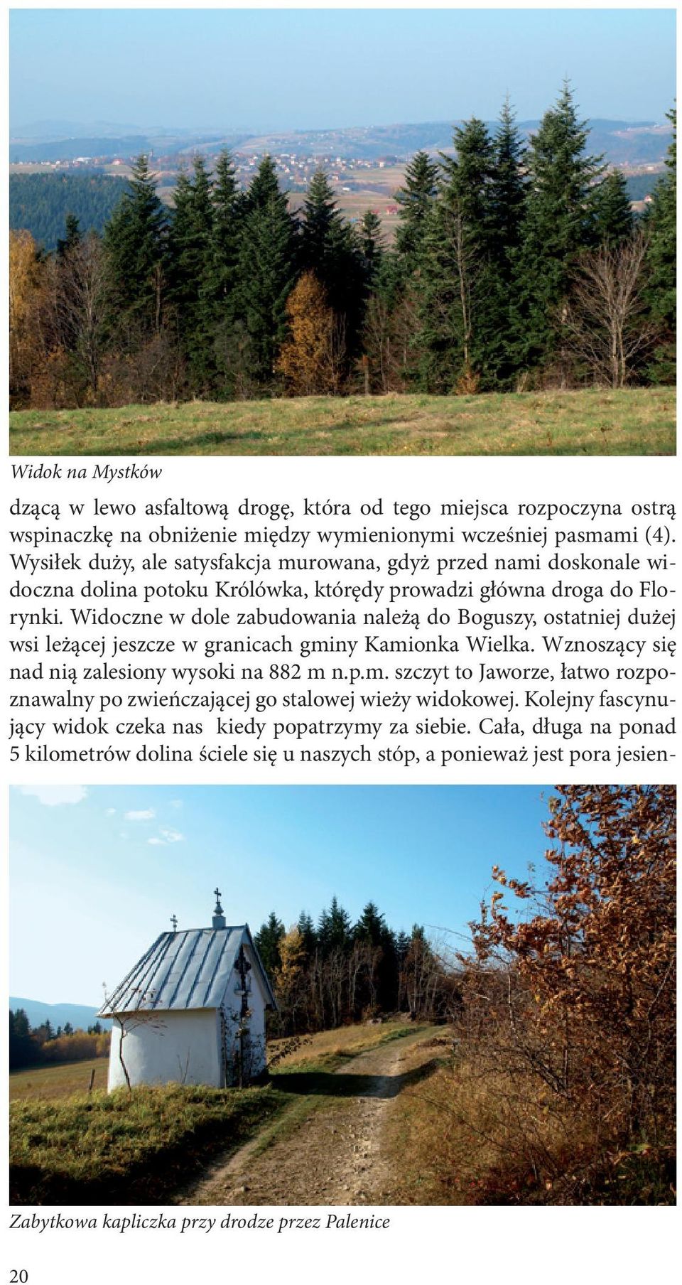 Widoczne w dole zabudowania należą do Boguszy, ostatniej dużej wsi leżącej jeszcze w granicach gminy Kamionka Wielka. Wznoszący się nad nią zalesiony wysoki na 882 m n.p.m. szczyt to Jaworze, łatwo rozpoznawalny po zwieńczającej go stalowej wieży widokowej.