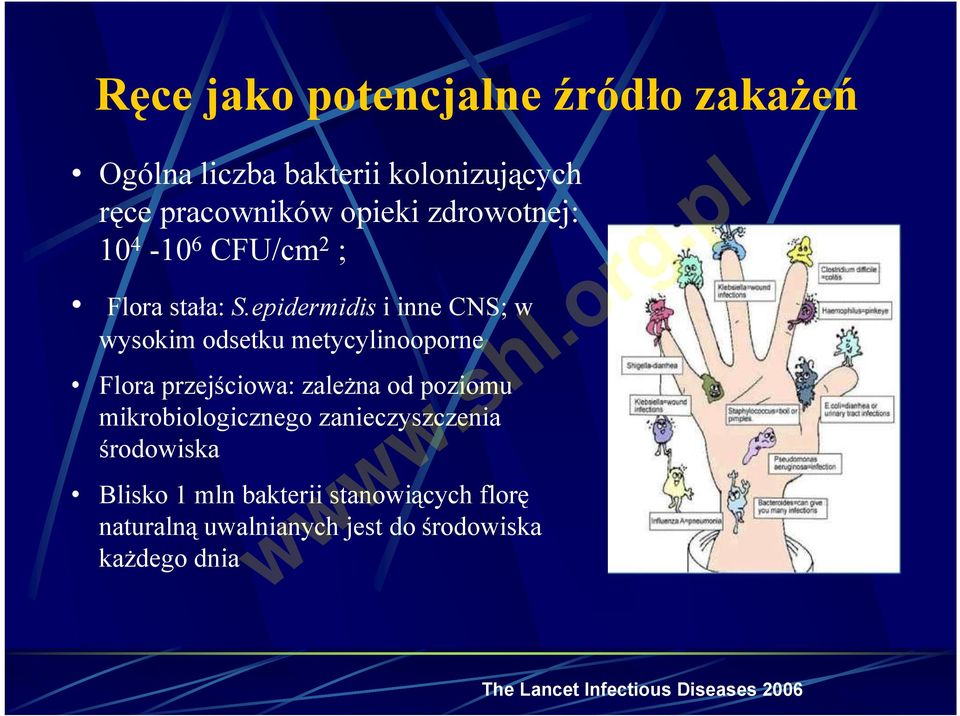 epidermidis i inne CNS; w wysokim odsetku metycylinooporne Flora przejściowa: zależna od poziomu