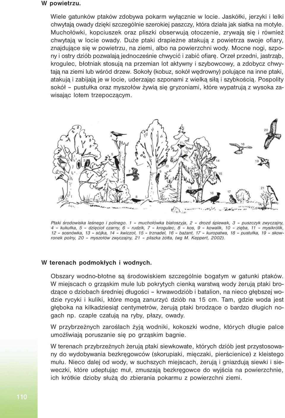 Duże ptaki drapieżne atakują z powietrza swoje ofiary, znajdujące się w powietrzu, na ziemi, albo na powierzchni wody. Mocne nogi, szpony i ostry dziób pozwalają jednocześnie chwycić i zabić ofiarę.