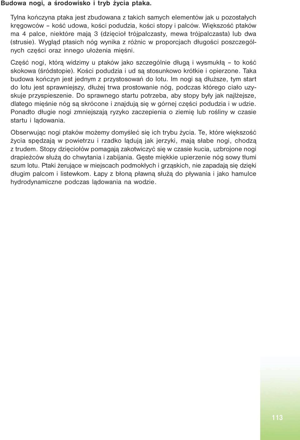 Wygląd ptasich nóg wynika z różnic w proporcjach długości poszczególnych części oraz innego ułożenia mięśni.
