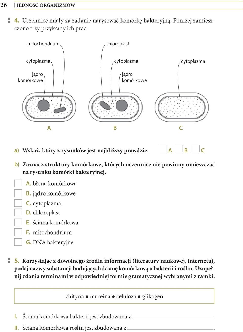 A B C b) Zaznacz struktury komórkowe, których uczennice nie powinny umieszczać na rysunku komórki bakteryjnej. A. błona komórkowa B. jądro komórkowe C. cytoplazma D. chloroplast E. ściana komórkowa F.