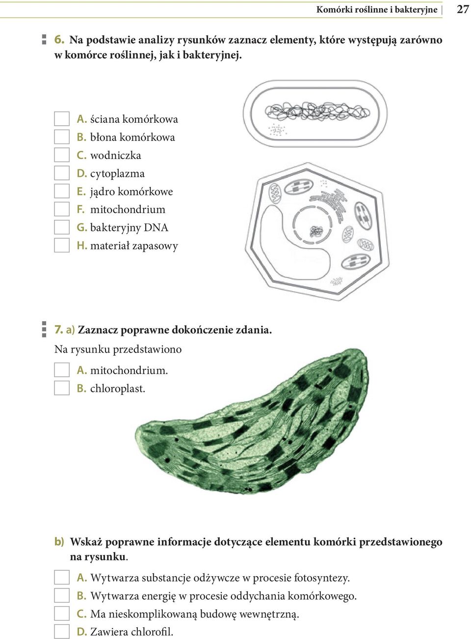a) Zaznacz poprawne dokończenie zdania. Na rysunku przedstawiono A. mitochondrium. B. chloroplast.