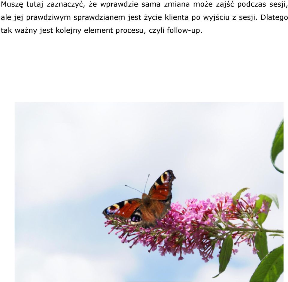 jest życie klienta po wyjściu z sesji.