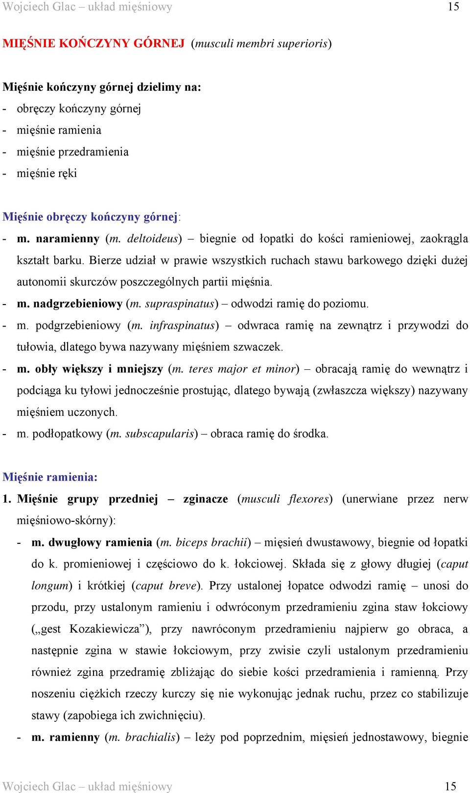 Bierze udział w prawie wszystkich ruchach stawu barkowego dzięki dużej autonomii skurczów poszczególnych partii mięśnia. - m. nadgrzebieniowy (m. supraspinatus) odwodzi ramię do poziomu. - m. podgrzebieniowy (m.