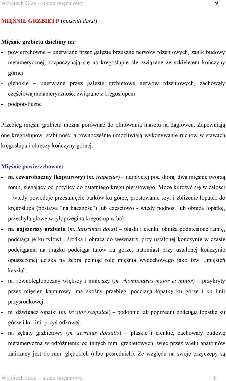 - podpotyliczne Przebieg mięśni grzbietu można porównać do olinowania masztu na żaglowcu.