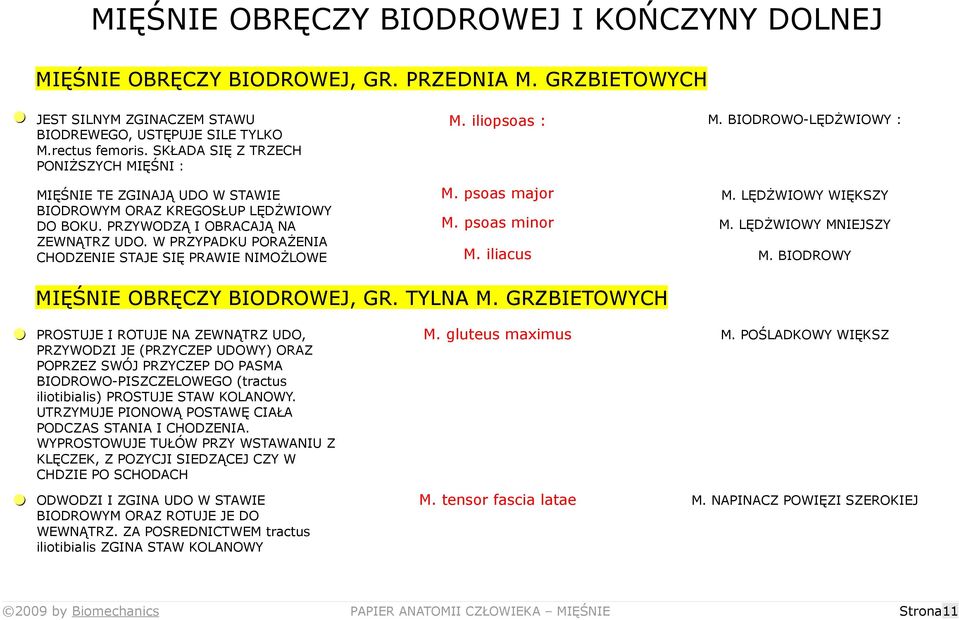 W PRZYPADKU PORAŻENIA CHODZENIE STAJE SIĘ PRAWIE NIMOŻLOWE M. iliopsoas : M. BIODROWO-LĘDŻWIOWY : M. psoas major M. LĘDŻWIOWY WIĘKSZY M. psoas minor M. LĘDŻWIOWY MNIEJSZY M. iliacus M.