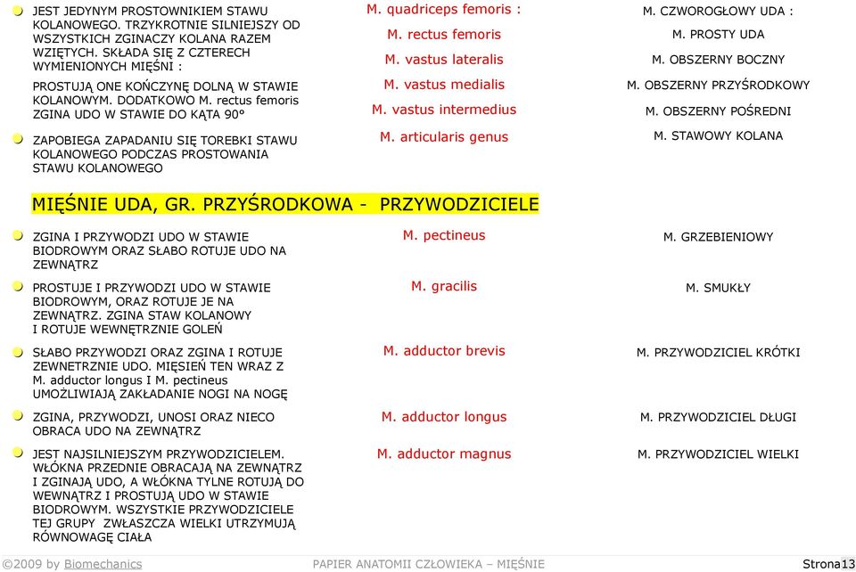 rectus femoris ZGINA UDO W STAWIE DO KĄTA 90 = ZAPOBIEGA ZAPADANIU SIĘ TOREBKI STAWU KOLANOWEGO PODCZAS PROSTOWANIA STAWU KOLANOWEGO M. quadriceps femoris : M. CZWOROGŁOWY UDA : M. rectus femoris M.