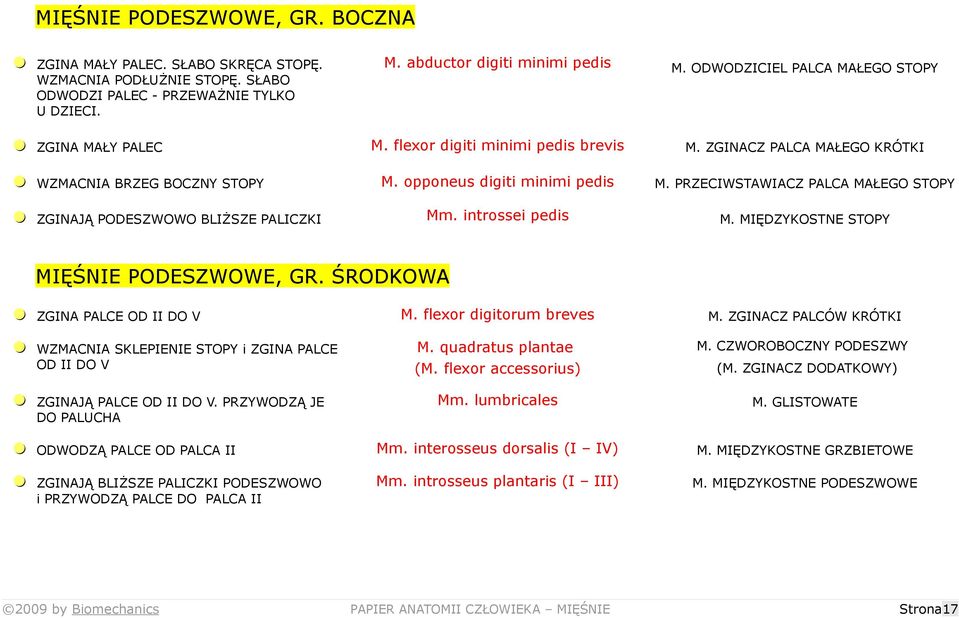 PRZECIWSTAWIACZ PALCA MAŁEGO STOPY = ZGINAJĄ PODESZWOWO BLIŻSZE PALICZKI Mm. introssei pedis M. MIĘDZYKOSTNE STOPY MIĘŚNIE PODESZWOWE, GR. ŚRODKOWA = ZGINA PALCE OD II DO V M.