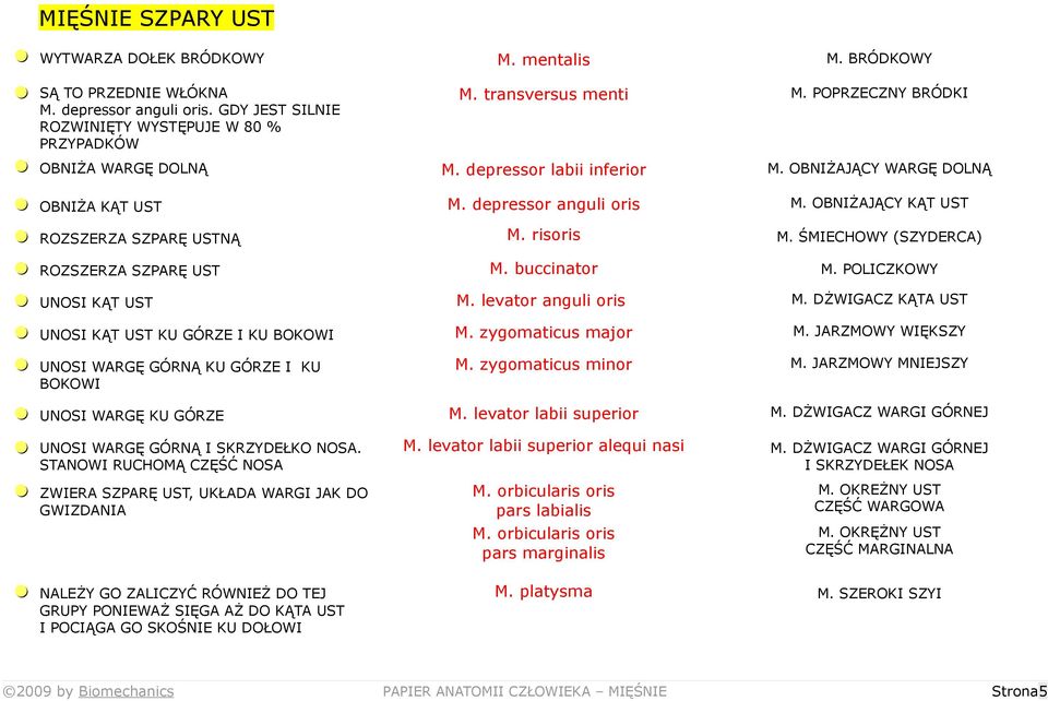 OBNIŻAJĄCY KĄT UST = ROZSZERZA SZPARĘ USTNĄ M. risoris M. ŚMIECHOWY (SZYDERCA) = ROZSZERZA SZPARĘ UST M. buccinator M. POLICZKOWY = UNOSI KĄT UST M. levator anguli oris M.