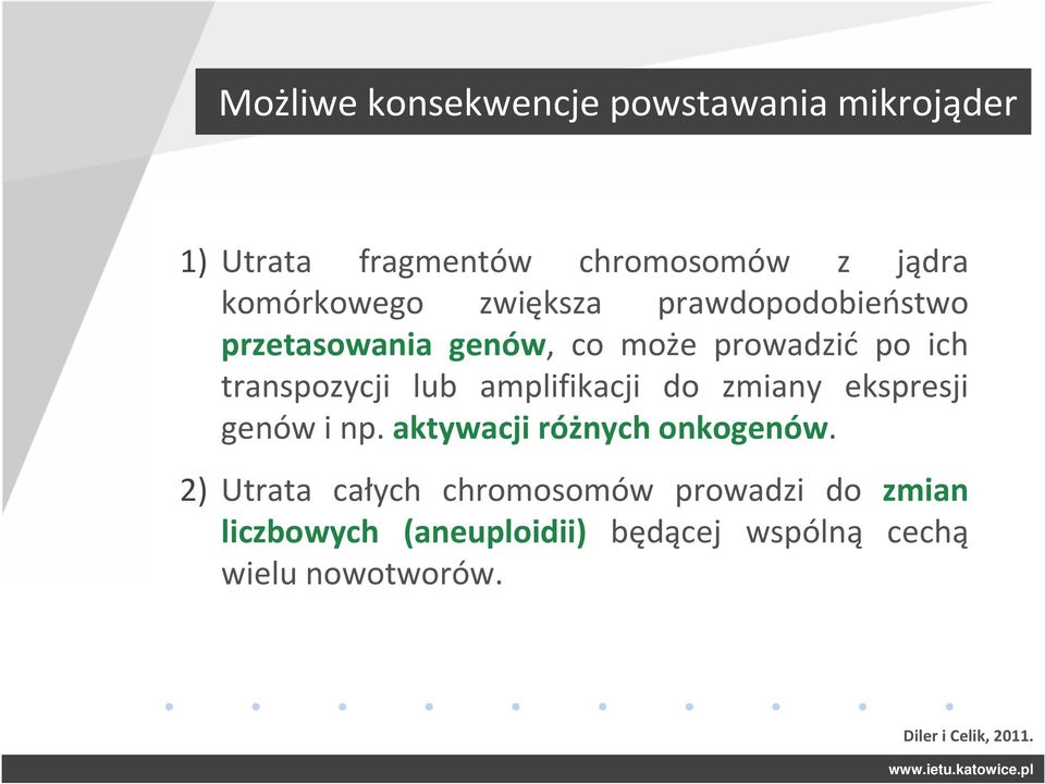 amplifikacji do zmiany ekspresji genów i np. aktywacji różnych onkogenów.