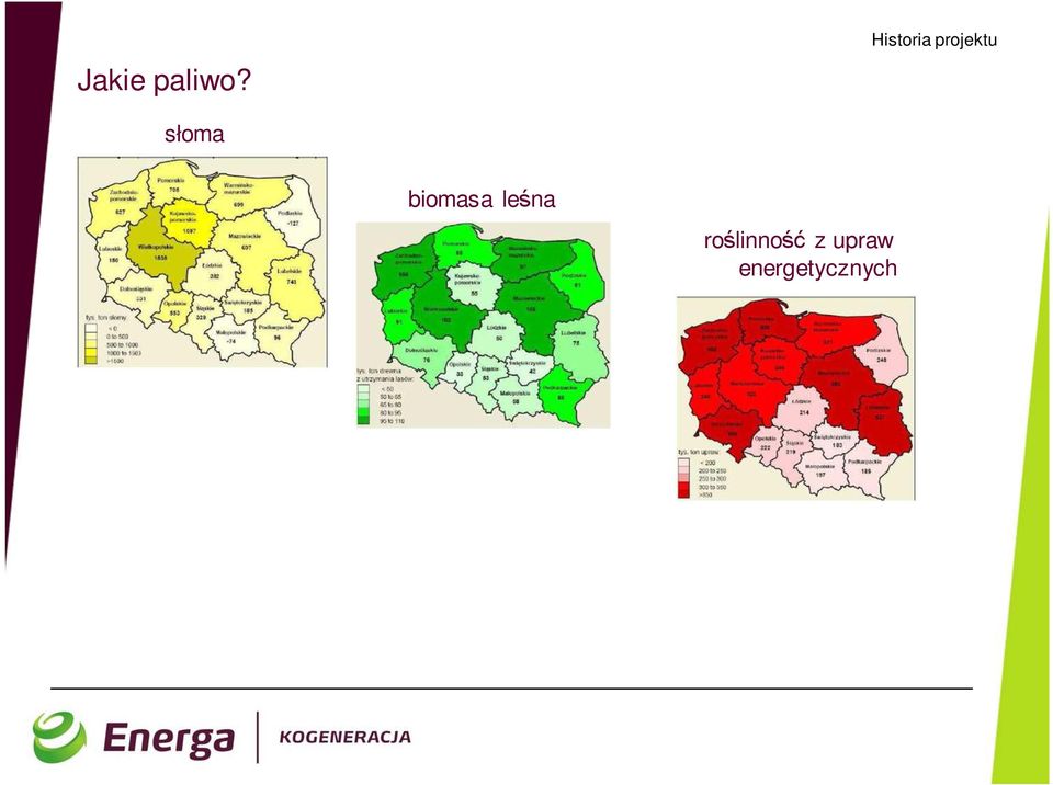 słoma biomasa leśna