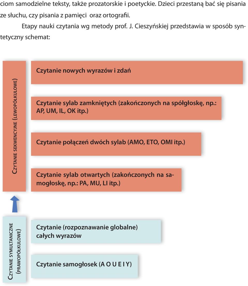 Cieszyńskiej przedstawia w sposób syntetyczny schemat: Czytanie nowych wyrazów i zdań Czytanie sekwencyjne (lewopółkulowe) Czytanie sylab zamkniętych