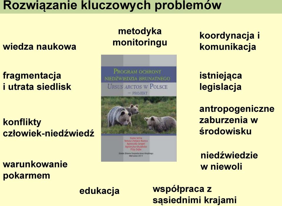 człowiek-niedźwiedź istniejąca legislacja antropogeniczne zaburzenia w