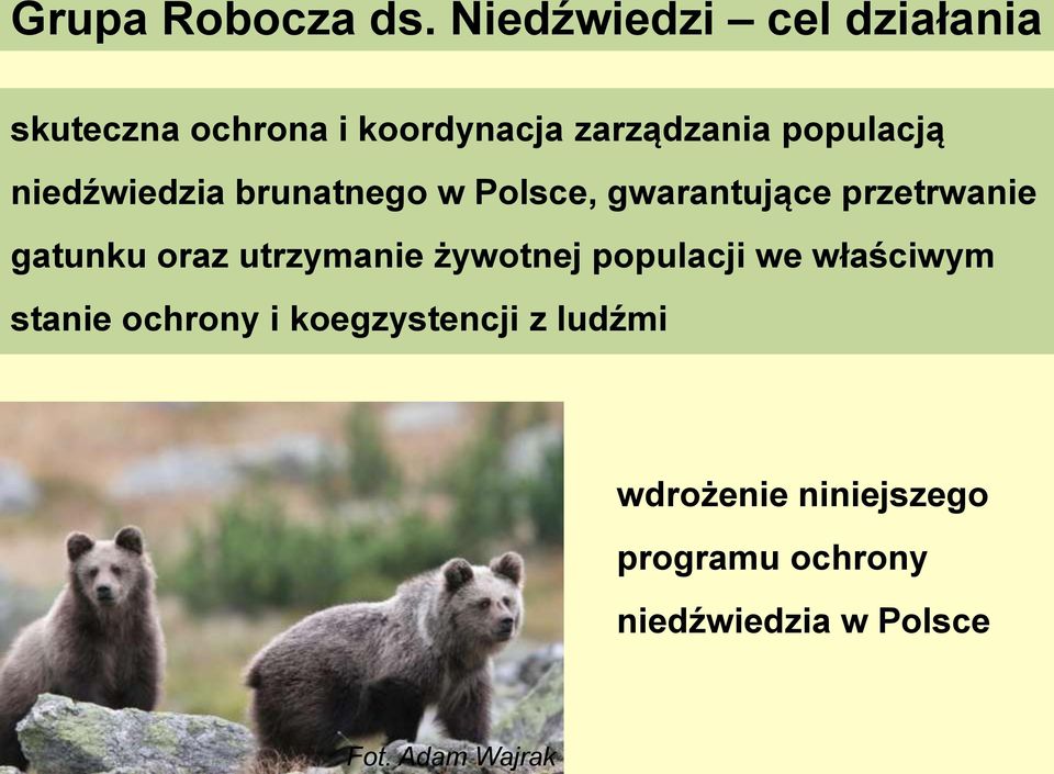 brunatnego w Polsce, gwarantujące przetrwanie gatunku oraz utrzymanie żywotnej