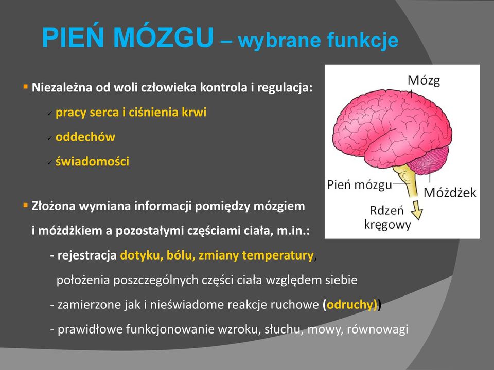 in.: - rejestracja dotyku, bólu, zmiany temperatury, położenia poszczególnych części ciała względem siebie -