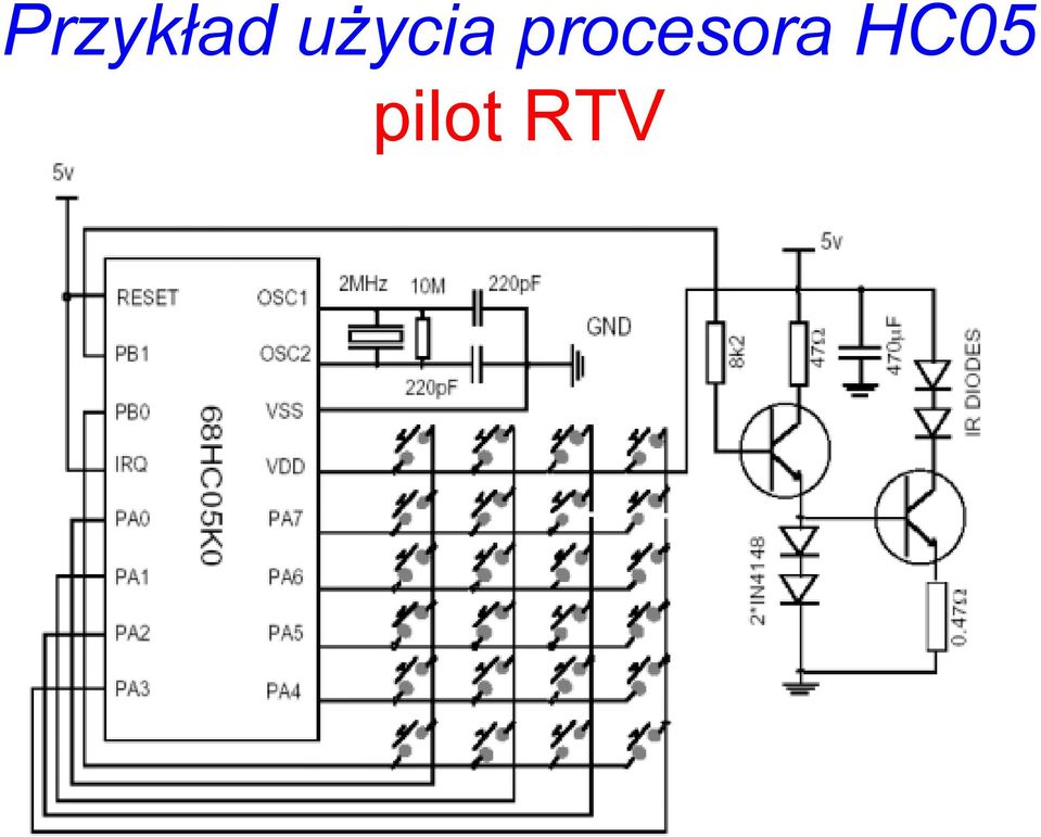 procesora