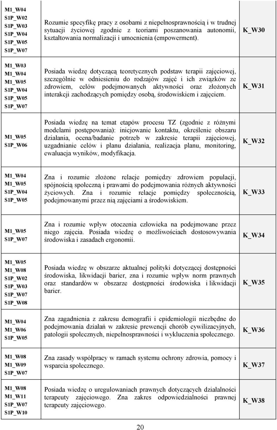 interakcji zachodzących pomiędzy osobą, środowiskiem i zajęciem.