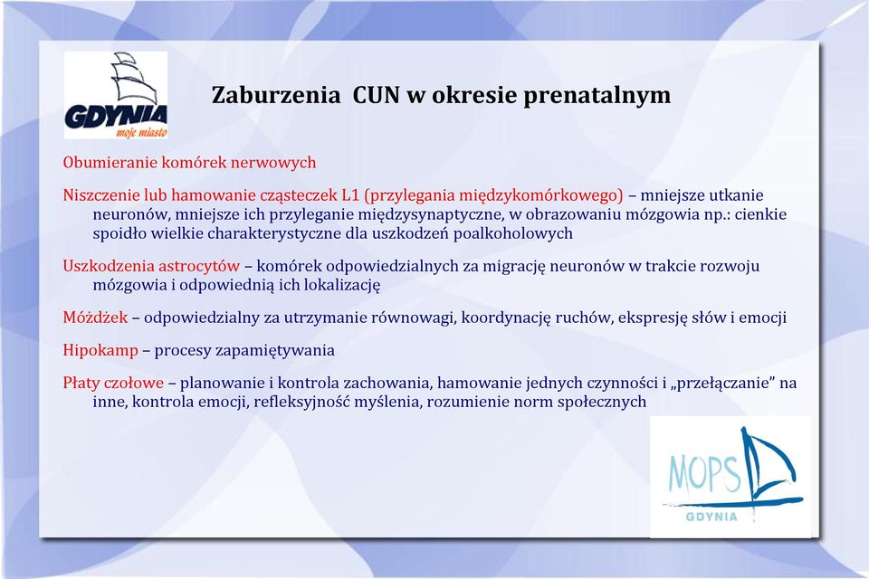 : cienkie spoidło wielkie charakterystyczne dla uszkodzeń poalkoholowych Uszkodzenia astrocytów komórek odpowiedzialnych za migrację neuronów w trakcie rozwoju mózgowia i