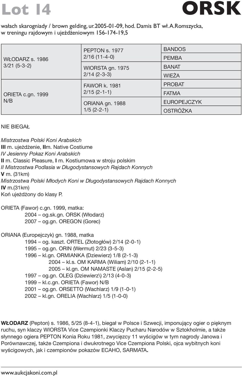 1988 1/5 (2-2-1) BANDOS PEMBA BANAT WIEŻA PROBAT FATMA EUROPEJCZYK OSTRÓŻKA NIE BIEGAŁ Mistrzostwa Polski Koni Arabskich III m. ujeżdżenie, IIm. Native Costiume IV Jesienny Pokaz Koni Arabskich II m.