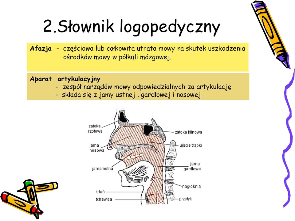 mózgowej.