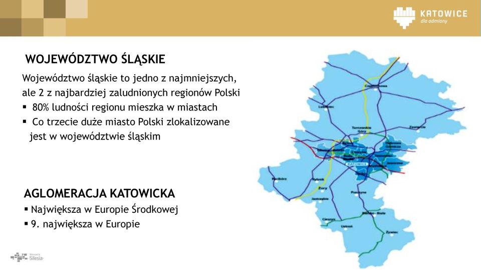 miastach Co trzecie duże miasto Polski zlokalizowane jest w województwie