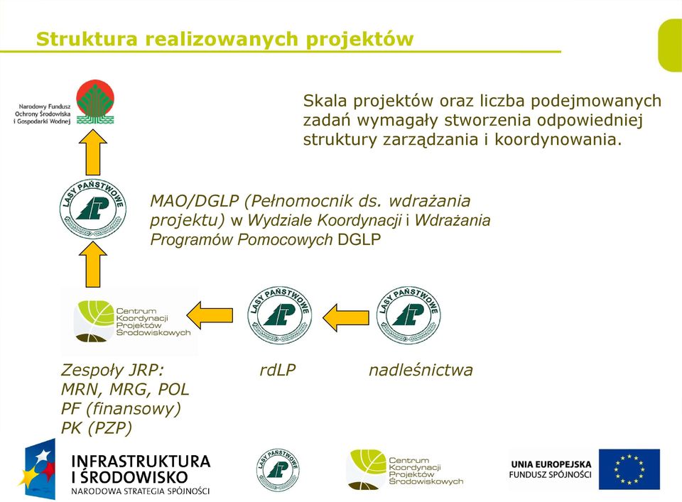 MAO/DGLP (Pełnomocnik ds.