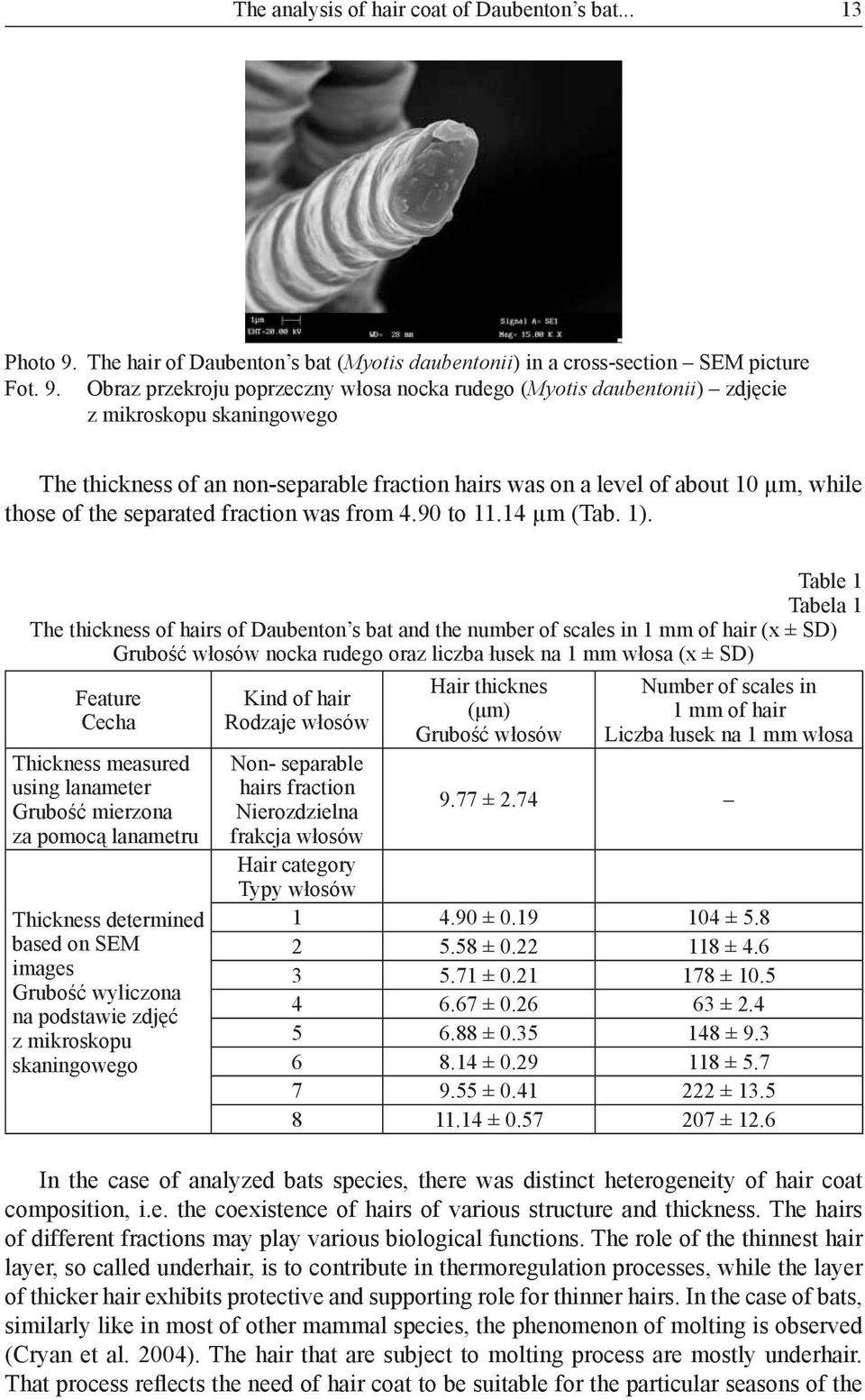 Obraz przekroju poprzeczny włosa nocka rudego (Myotis daubentonii) zdjęcie z mikroskopu skaningowego The thickness of an non-separable fraction hairs was on a level of about 10 µm, while those of the