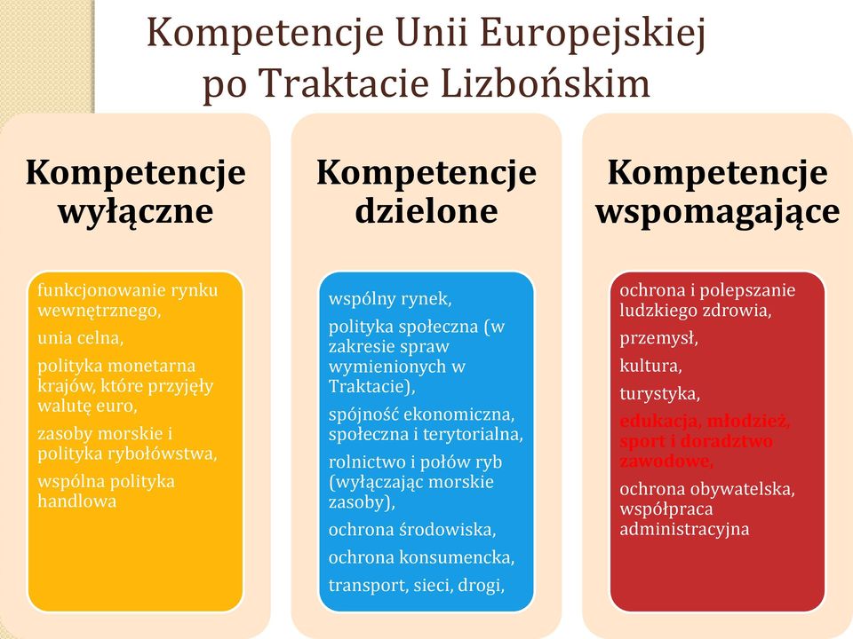 wymienionych w Traktacie), spójność ekonomiczna, społeczna i terytorialna, rolnictwo i połów ryb (wyłączając morskie zasoby), ochrona środowiska, ochrona konsumencka,